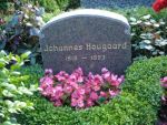 Johannes Hougaard.jpg